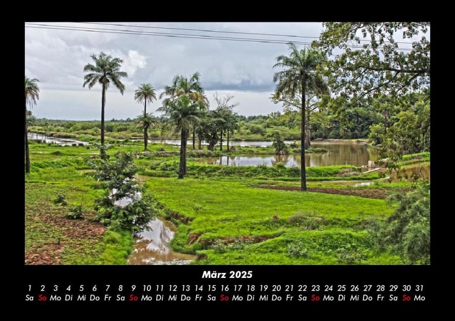 InsideView 7
