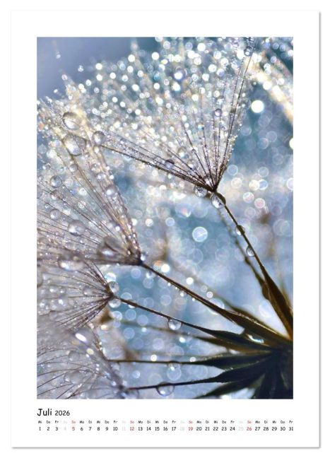 InsideView 12