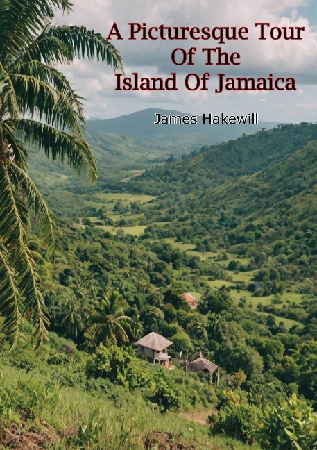 Picturesque Tour Of The Island Of Jamaica - James Hakewill