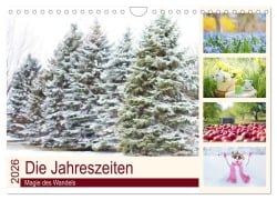 Die Jahreszeiten. Magie des Wandels (Wandkalender 2026 DIN A4 quer), CALVENDO Monatskalender - Elisabeth Stanzer