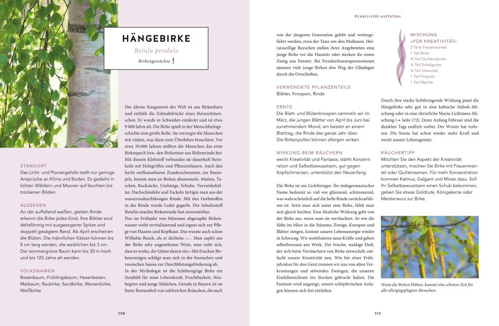 InsideView 5