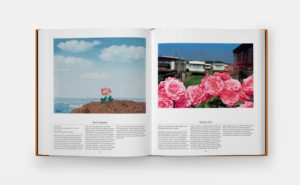 InsideView 7