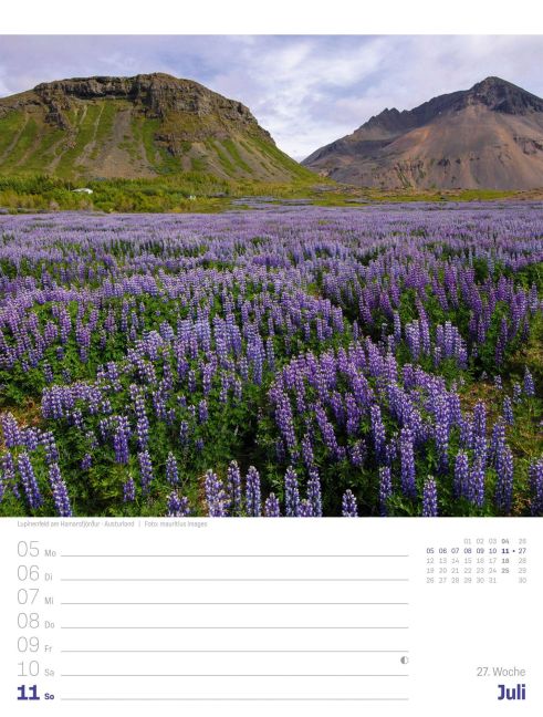 InsideView 31