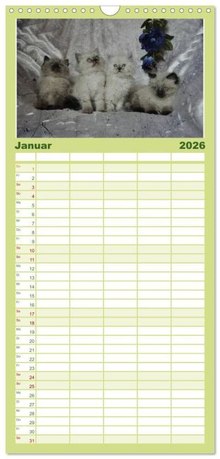 InsideView 6
