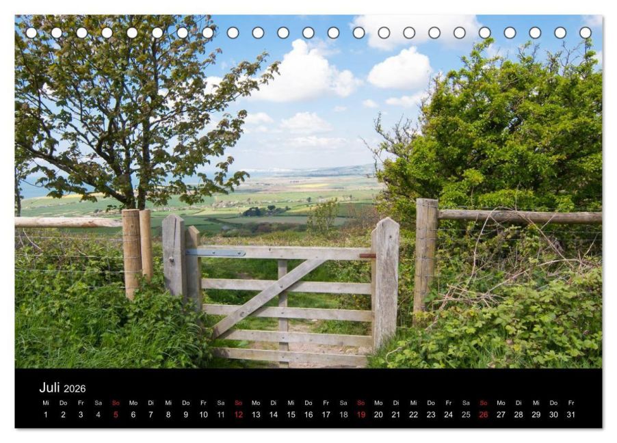 InsideView 12