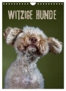 Cover-Bild zum Titel 'Witzige Hunde (Wandkalender 2026 DIN A4 hoch), CALVENDO Monatskalender' von 'Birte Zabel'