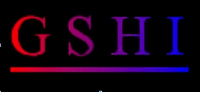 Cover-Bild zum Titel 'The Site Wars: A Dot-Com Story of GameSharks, Site Wars, and a Hacking Community Called GSHI' von 'George Paul'