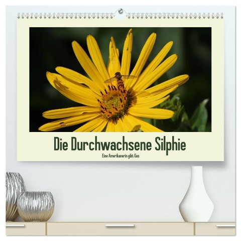 Die Durchwachsene Silphie - Eine Amerikanerin gibt Gas / CH-Version (hochwertiger Premium Wandkalender 2024 DIN A2 quer), Kunstdruck in Hochglanz - Kerstin Stolzenburg