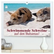 Schwimmende Schweine auf den Bahamas! (hochwertiger Premium Wandkalender 2026 DIN A2 quer), Kunstdruck in Hochglanz - Elisabeth Stanzer