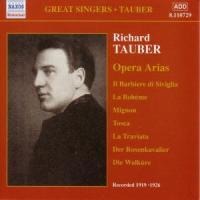 Opernarien Vol.1 - Richard Tauber
