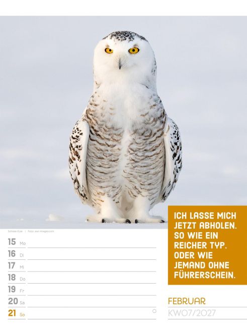 InsideView 11