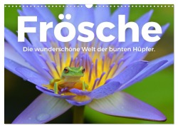 Cover-Bild zum Titel 'Frösche - Die wunderschöne Welt der bunten Hüpfer. (Wandkalender 2026 DIN A3 quer), CALVENDO Monatskalender' von 'M. Scott'
