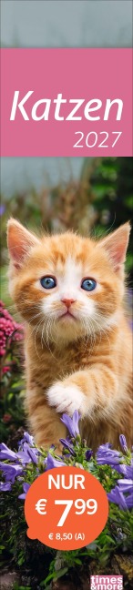 times&more Katzen Langplaner 2027 - 