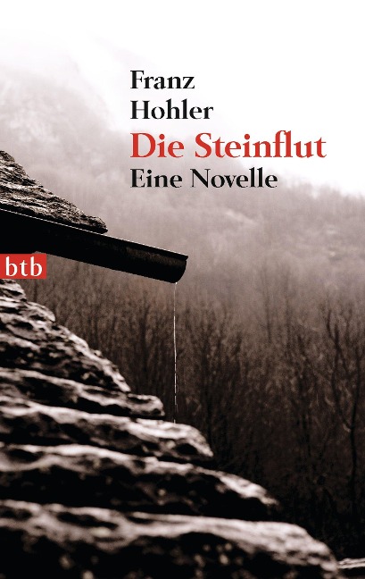 Die Steinflut - Franz Hohler