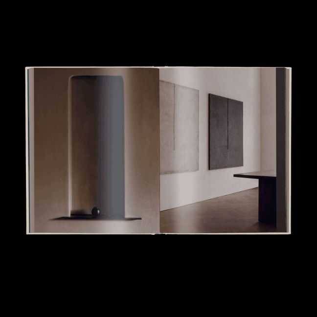 InsideView 1
