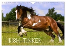 Cover-Bild zum Titel 'Irish Tinker (Wandkalender 2027 DIN A4 quer), CALVENDO Monatskalender' von 'Gabriela Wejat-Zaretzke'