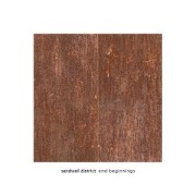 Cover-Bild zum Titel 'End Beginnings' von 'Sandwell District'