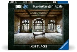 Cover-Bild zum Titel 'Erwachsenenpuzzle 1000 Teile - Frauenpavillion Beelitzer Heilstätten' von ''