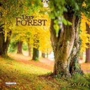 Cover-Bild zum Titel 'Deep Forest 2027' von ''