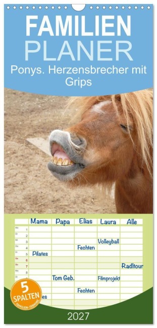 Familienplaner 2027 - Ponys. Herzensbrecher mit Grips mit 5 Spalten (Wandkalender, 21 x 45 cm) CALVENDO - Elisabeth Stanzer