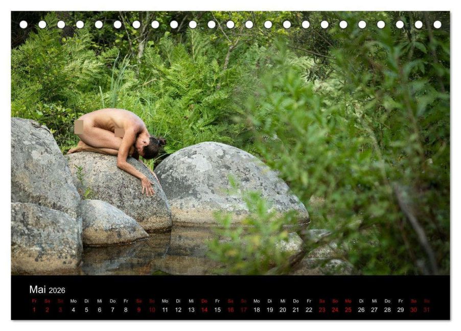 InsideView 10