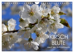 Cover-Bild zum Titel 'Kirschblüte rund um Witzenhausen (Wandkalender 2026 DIN A4 quer), CALVENDO Monatskalender' von 'Sabine Löwer'