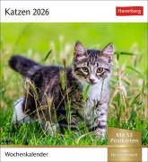 Katzen Postkartenkalender 2026 - Wochenkalender mit 53 Postkarten - 