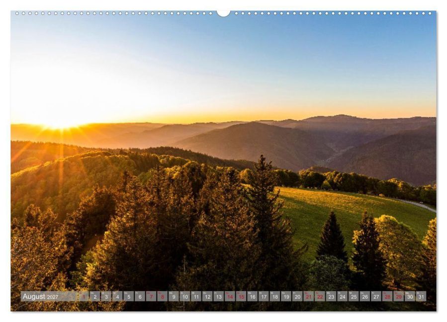 InsideView 13