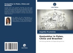 Cover-Bild zum Titel 'Konjunktur in Polen, China und Brasilien' von 'Angelika Pruchnicka'