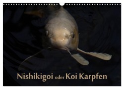 Cover-Bild zum Titel 'Nishikigoi oder Koi Karpfen (Wandkalender 2026 DIN A3 quer), CALVENDO Monatskalender' von 'Erwin Renken'