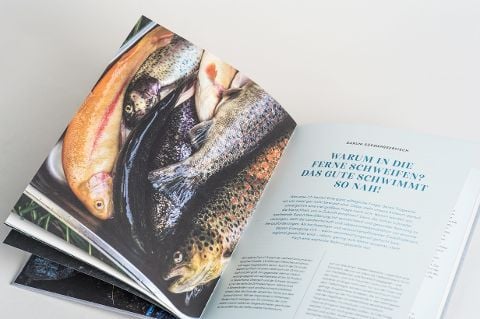 InsideView 16