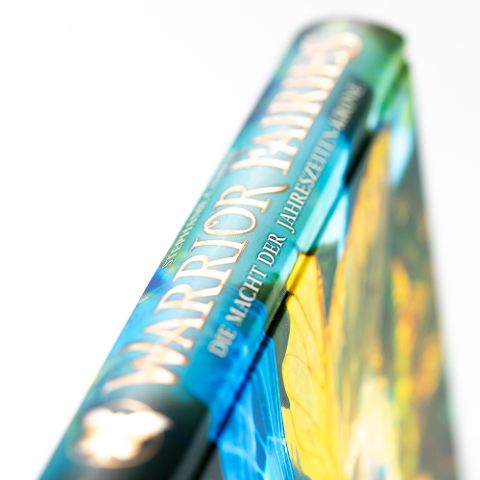 InsideView 3