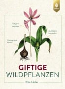 Cover-Bild zum Titel 'Giftige Wildpflanzen' von 'Rita Lüder'