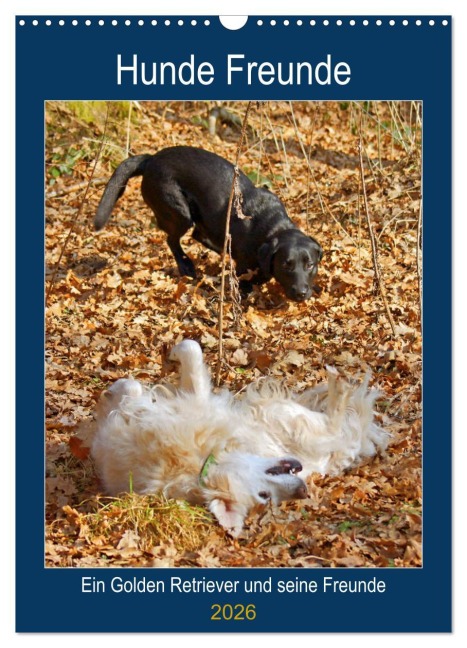 Hunde Freunde (Wandkalender 2026 DIN A3 hoch), CALVENDO Monatskalender - Kattobello Kattobello