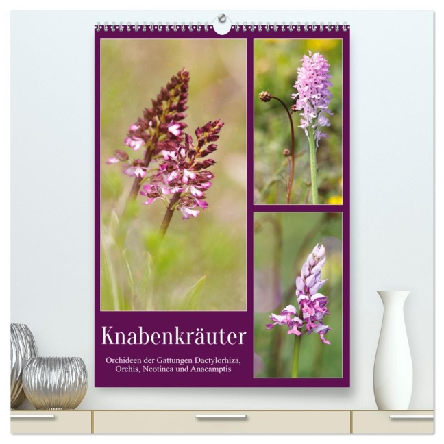 Knabenkräuter (hochwertiger Premium Wandkalender 2026 DIN A2 hoch), Kunstdruck in Hochglanz - Sabine Löwer