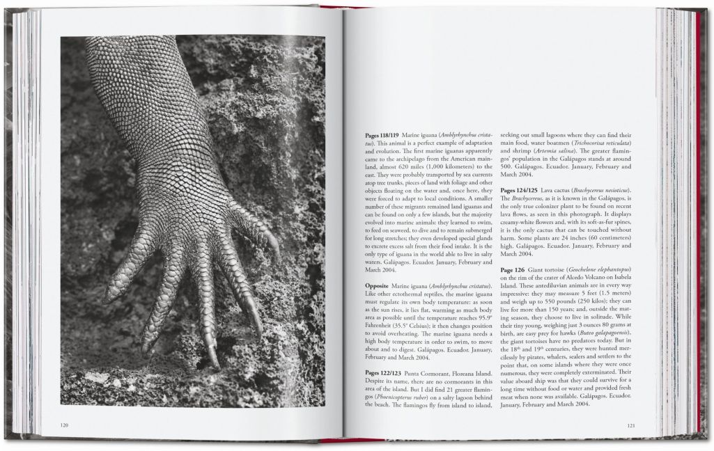 InsideView 7