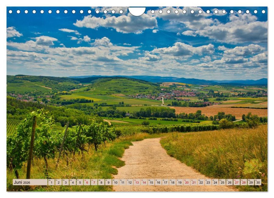 InsideView 11