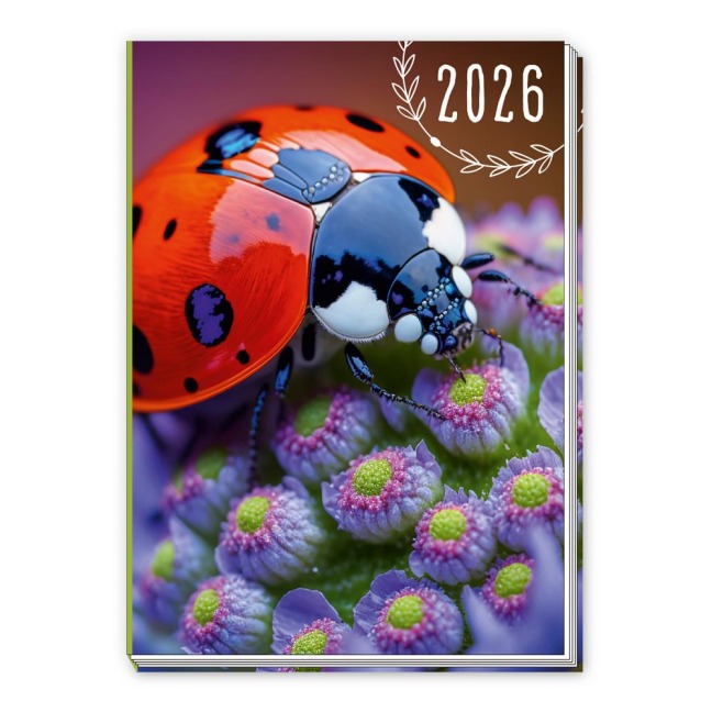 Trötsch Taschenkalender A7 Marienkäfer 2026 - 