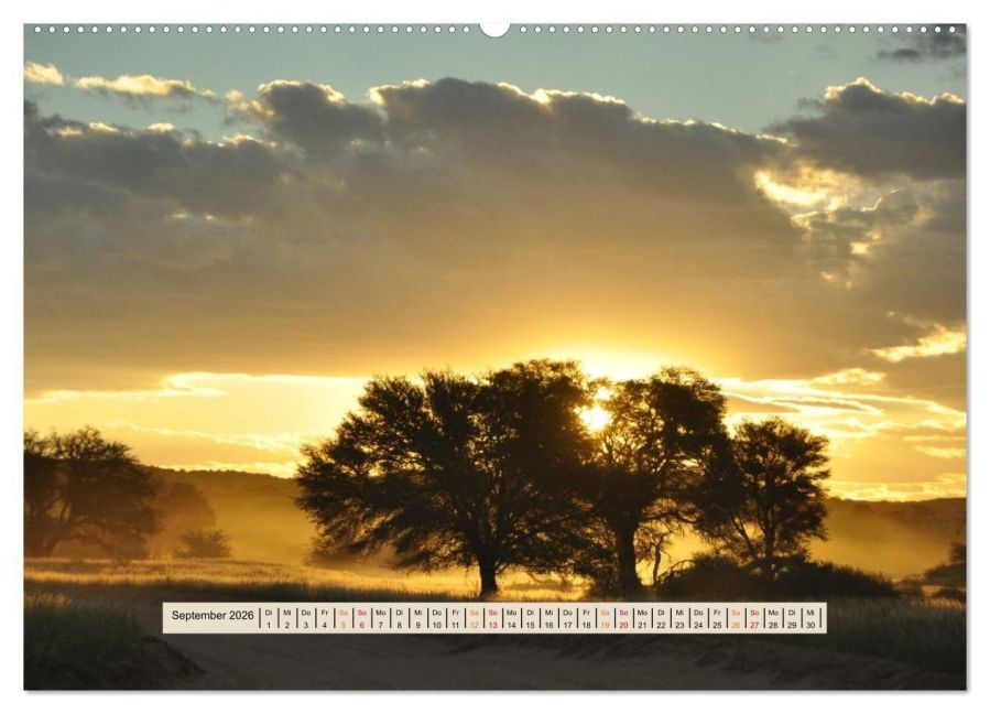 InsideView 13