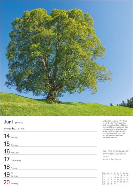 InsideView 5