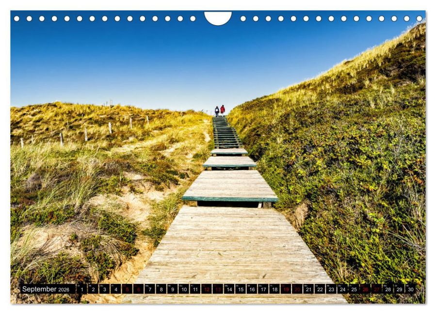 InsideView 14