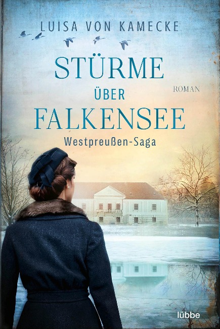 Stürme über Falkensee - Luisa von Kamecke