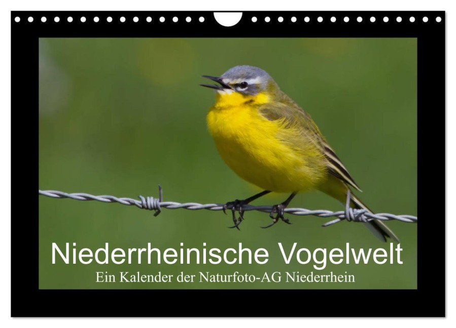 Niederrheinische Vogelwelt (Wandkalender 2026 DIN A4 quer), CALVENDO Monatskalender - Gudrun Nitzold-Briele (Hrsg. Naturfoto-AG Niederrhein