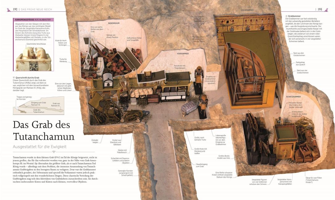 InsideView 8