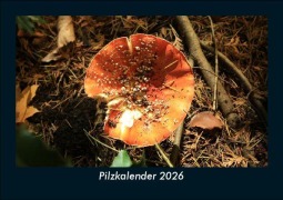 Cover-Bild zum Titel 'Pilzkalender 2026 Fotokalender DIN A5' von 'Tobias Becker'
