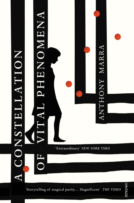 A Constellation of Vital Phenomena - Anthony Marra