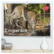 Cover-Bild zum Titel 'Leoparden. Elegante Jäger (hochwertiger Premium Wandkalender 2026 DIN A2 quer), Kunstdruck in Hochglanz' von 'Elisabeth Stanzer'