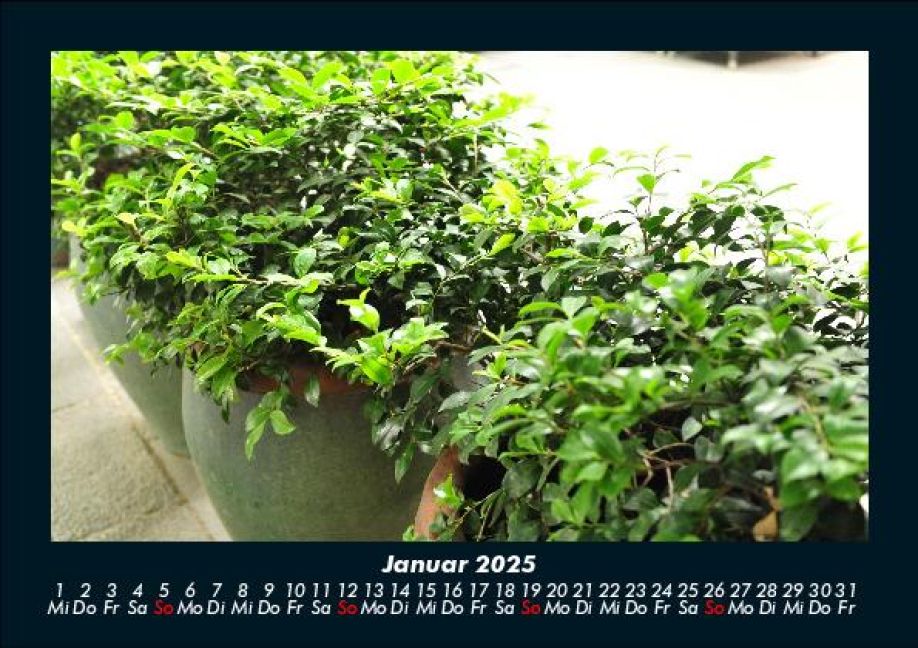 InsideView 5