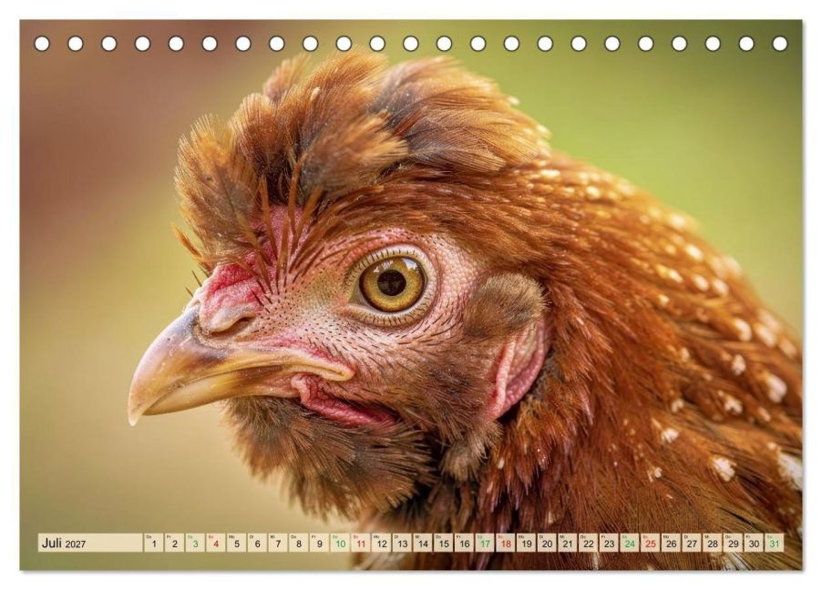 InsideView 12