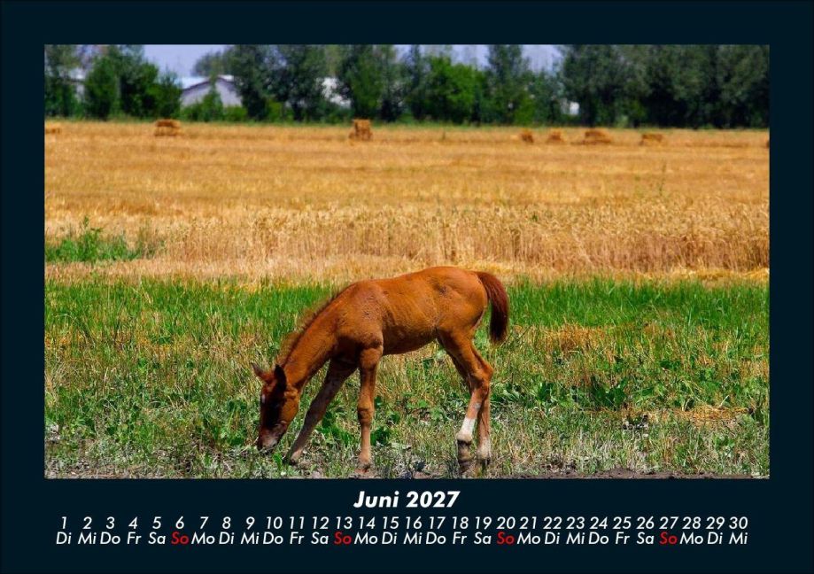 InsideView 10